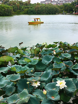 泉州东湖公园