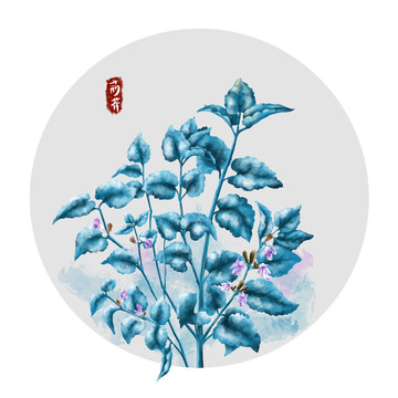 荊芥
