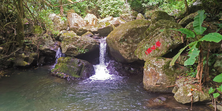 山石溪流