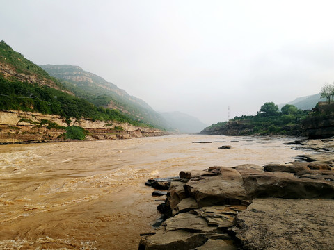 黄河河道