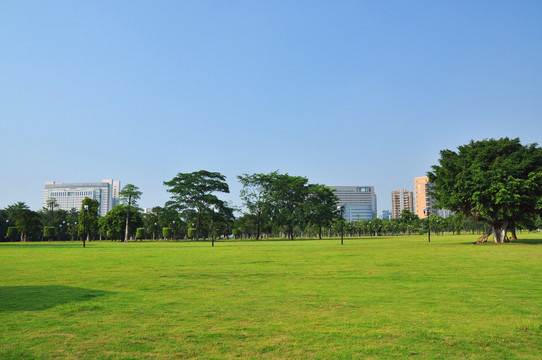 城市绿肺绿色广场