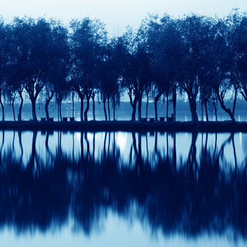 夜晚的湖水树木的倒影