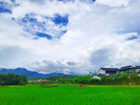 乡村美景