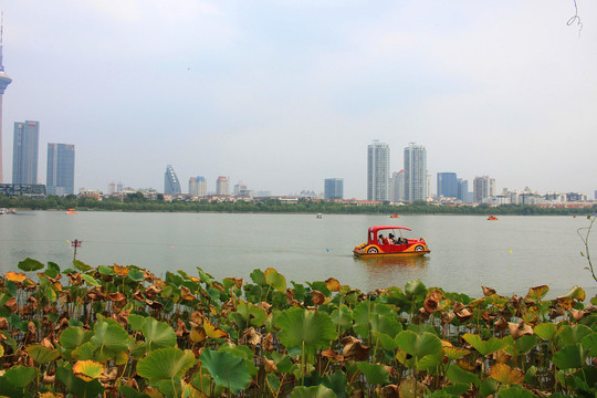 天津水上公园