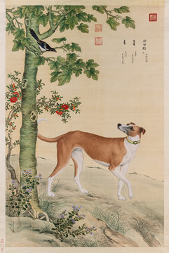 郎世宁十骏犬之茹黄豹图