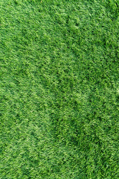高清绿色人造草坪背景素材