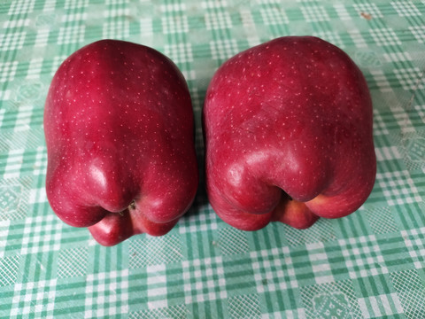 花牛蘋果側面特寫
