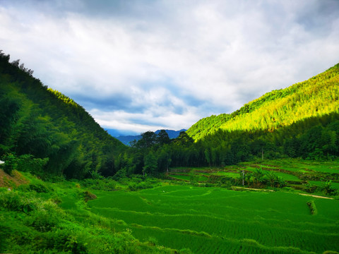 南山牧场