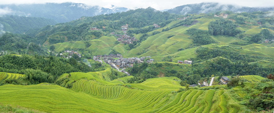 龙脊梯田