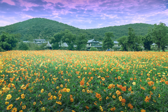 拈花湾