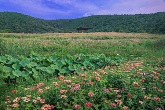 拈花湾