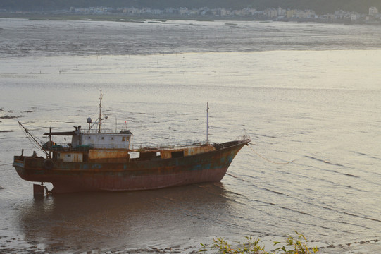 霞浦滩涂