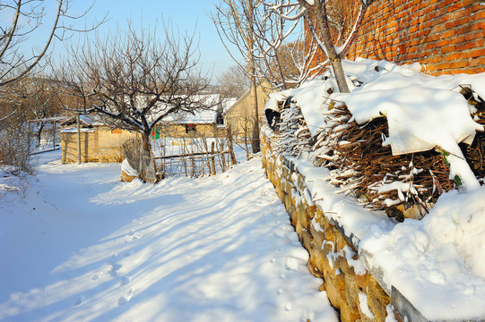 胶东农村雪景