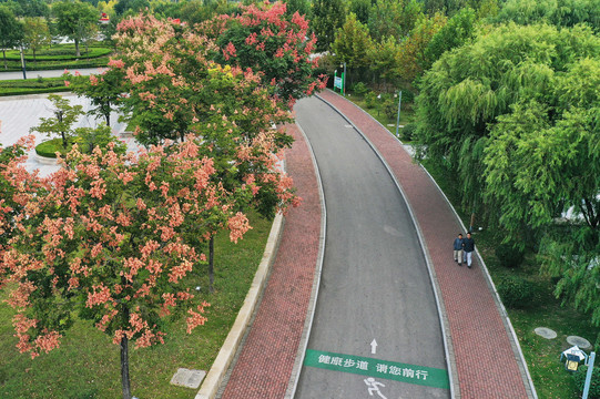 山东枣庄山亭区城市公园秋景