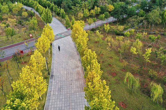 山东枣庄山亭区城市公园秋景