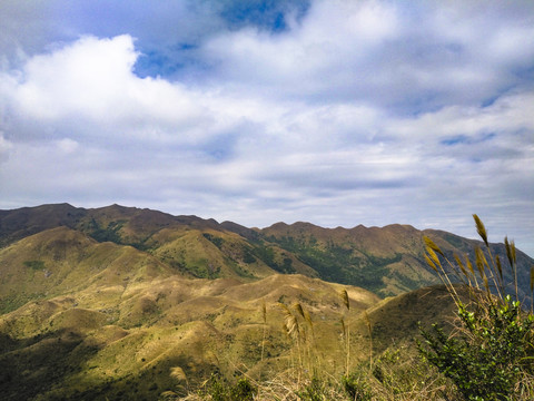 高山