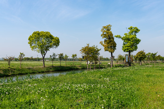 上海嘉北郊野公园