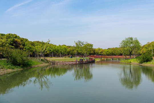 郊野公园景观景色