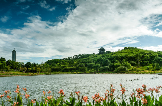 广西南宁青秀山叶子花园湖光山色