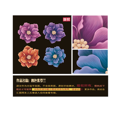 紫羅蘭花卉圖片