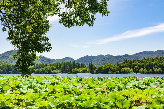 杭州西湖