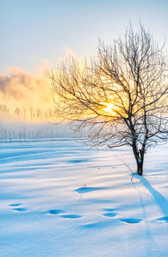 东北雪景