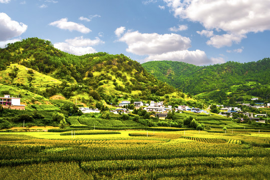 田園山水