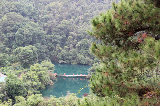 肇庆鼎湖山美景