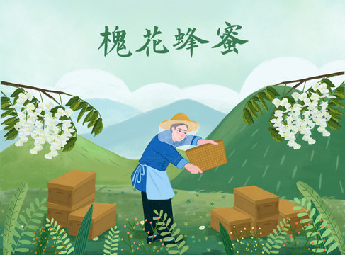 槐花蜂蜜插畫