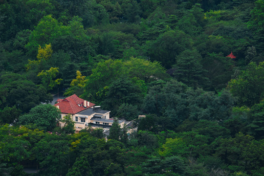 林间小屋