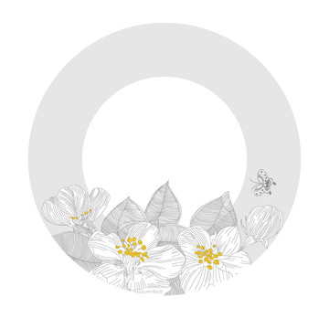 灰線花