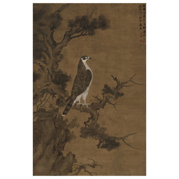 張舜咨柏鷹圖