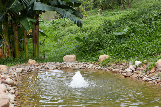 水景