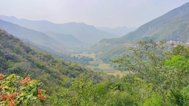 山里的梯田