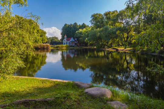 森林公园夏景