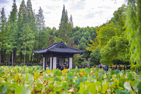 亭台楼阁水榭