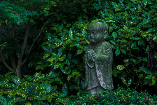 雨中的佛像与寺庙