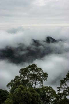 青城山云海