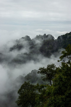 青城山云海