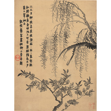 金農(nóng)花卉圖