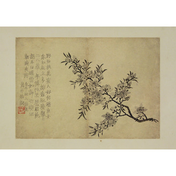 金農(nóng)花卉圖