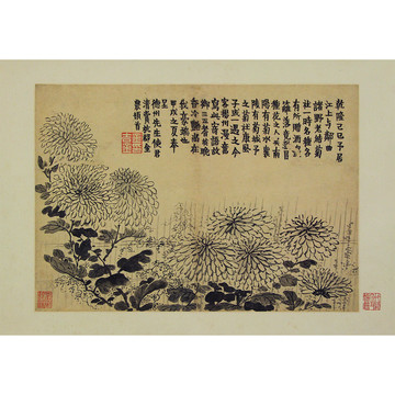 金農(nóng)花卉圖