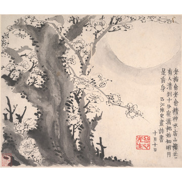 金農(nóng)梅花圖