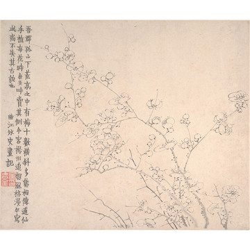 金農梅花圖