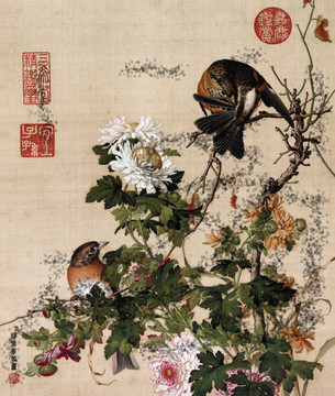 郎世寧花鳥(niǎo)