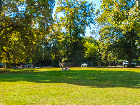 英国剑桥大学草坪