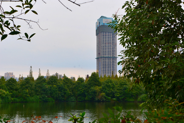 成都南湖风景