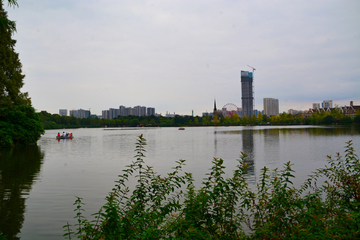 成都南湖风景