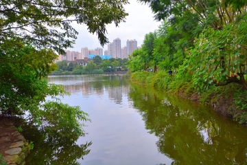 成都南湖公园风景