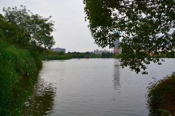 成都南湖风景